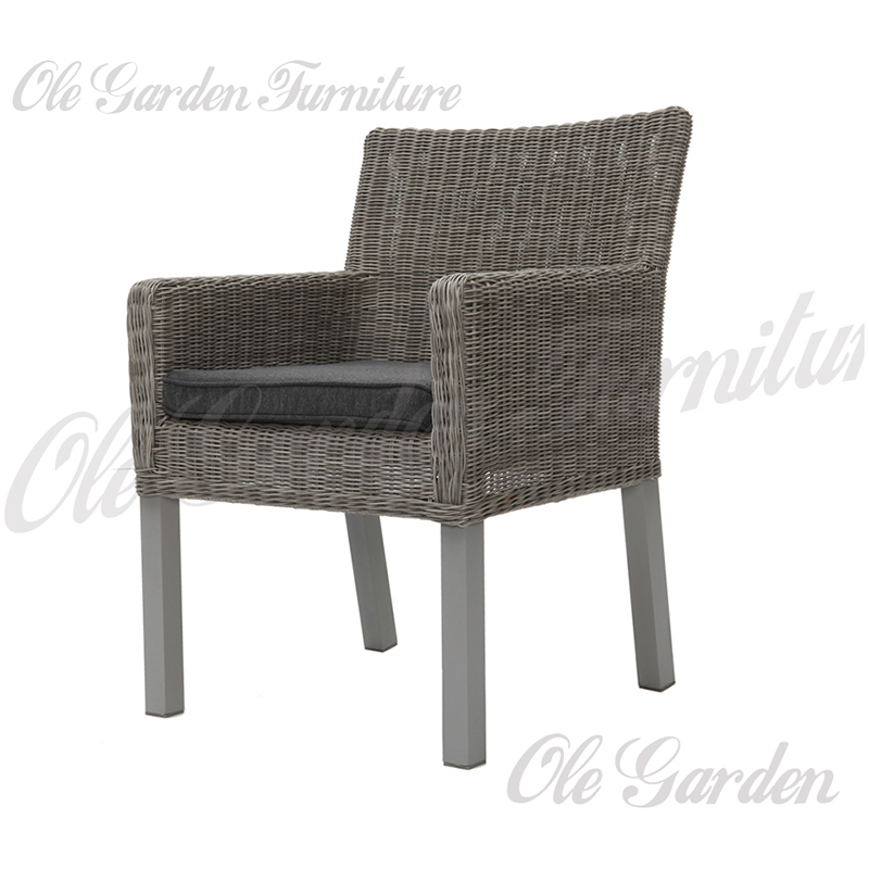 YL-713 铝制露台休闲单椅 YL-713 铝制露台休闲单椅